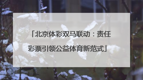 北京体彩双马联动：责任彩票引领公益体育新范式