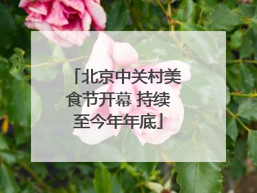 北京中关村美食节开幕 持续至今年年底