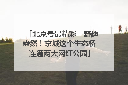 北京号最精彩｜野趣盎然！京城这个生态桥连通两大网红公园