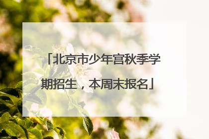 北京市少年宫秋季学期招生，本周末报名