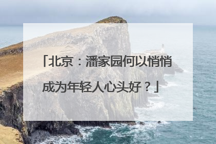 北京：潘家园何以悄悄成为年轻人心头好？