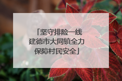 坚守排险一线 建德市大同镇全力保障村民安全