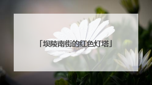 坝陵南街的红色灯塔