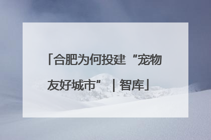 合肥为何投建“宠物友好城市”｜智库