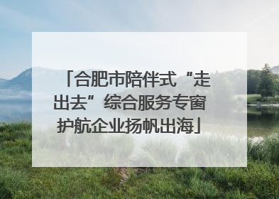 合肥市陪伴式“走出去”综合服务专窗护航企业扬帆出海