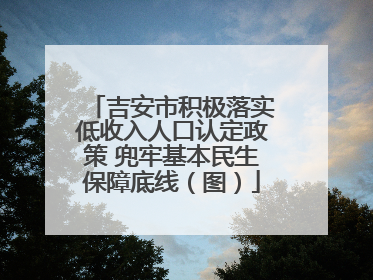 吉安市积极落实低收入人口认定政策 兜牢基本民生保障底线（图）