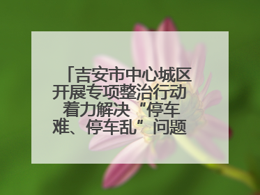 吉安市中心城区开展专项整治行动 着力解决“停车难、停车乱”问题（图）