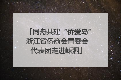 同舟共建“侨爱岛” 浙江省侨商会青委会代表团走进嵊泗