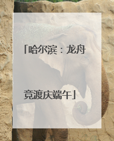 哈尔滨：龙舟竞渡庆端午