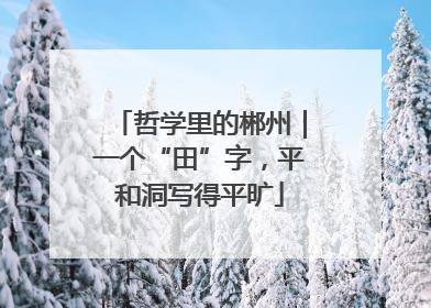 哲学里的郴州｜一个“田”字，平和洞写得平旷