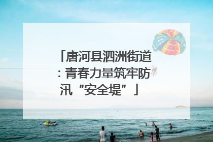唐河县泗洲街道：青春力量筑牢防汛“安全堤”