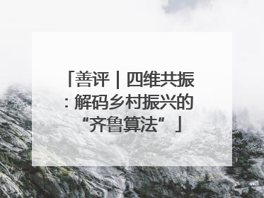 善评｜四维共振：解码乡村振兴的“齐鲁算法”
