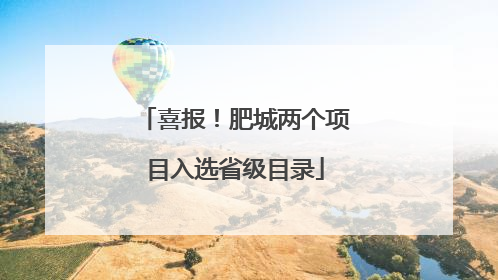 喜报！肥城两个项目入选省级目录