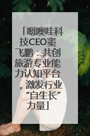 嗯噢哇科技CEO窦飞鹏：共创旅游专业能力认知平台，激发行业“自生长”力量