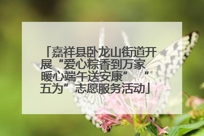 嘉祥县卧龙山街道开展“爱心粽香到万家 暖心端午送安康” “五为”志愿服务活动