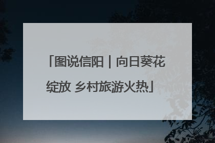 图说信阳｜向日葵花绽放 乡村旅游火热