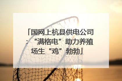国网上杭县供电公司：“满格电”助力养殖场生“鸡”勃勃