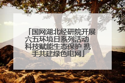 国网湖北经研院开展六五环境日系列活动 科技赋能生态保护 携手共建绿色电网
