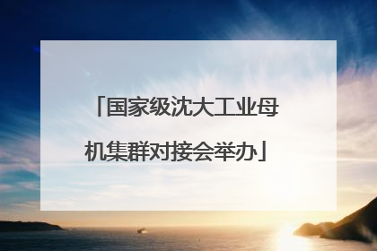 国家级沈大工业母机集群对接会举办