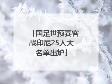 国足世预赛客战印尼25人大名单出炉