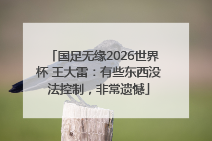 国足无缘2026世界杯 王大雷：有些东西没法控制，非常遗憾