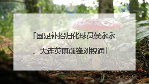 国足补招归化球员侯永永、大连英博前锋刘祝润
