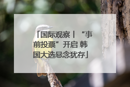国际观察丨“事前投票”开启 韩国大选悬念犹存