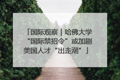 国际观察｜哈佛大学“国际禁招令”或加剧美国人才“出走潮”