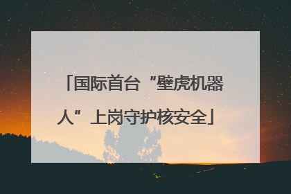 国际首台“壁虎机器人”上岗守护核安全