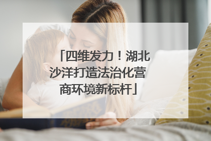 四维发力！湖北沙洋打造法治化营商环境新标杆