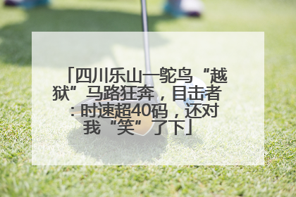 四川乐山一鸵鸟“越狱”马路狂奔，目击者：时速超40码，还对我“笑”了下