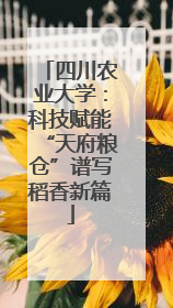 四川农业大学：科技赋能“天府粮仓”谱写稻香新篇
