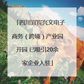 四川宜宾兴文电子商务（跨境）产业园开园 已吸引20余家企业入驻