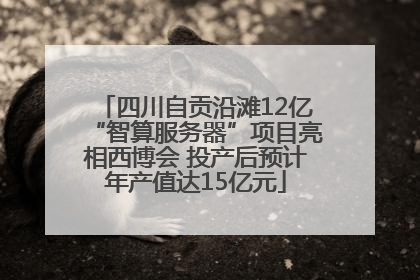四川自贡沿滩12亿“智算服务器”项目亮相西博会 投产后预计年产值达15亿元