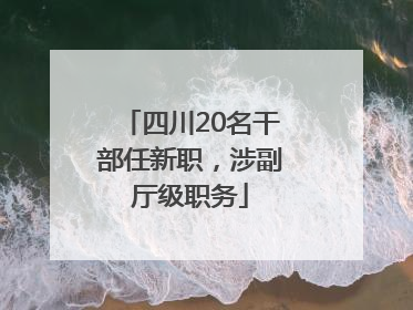 四川20名干部任新职，涉副厅级职务