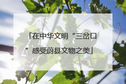 在中华文明“三岔口”感受蔚县文物之美