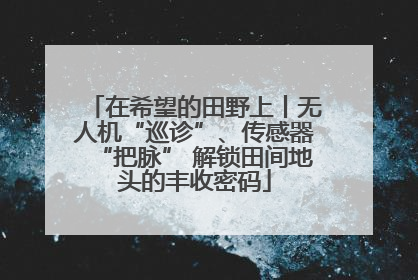 在希望的田野上丨无人机“巡诊”、传感器“把脉” 解锁田间地头的丰收密码