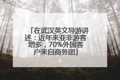 在武汉英文导游讲述：近年来亚非游客增多，70%外国客户来自商务团