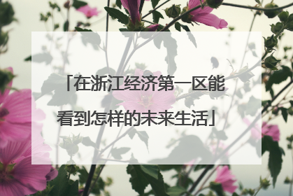 在浙江经济第一区能看到怎样的未来生活