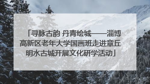寻脉古韵 丹青绘城——淄博高新区老年大学国画班走进章丘明水古城开展文化研学活动