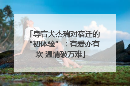 导盲犬杰瑞对宿迁的“初体验”：有爱亦有坎 温情破万难