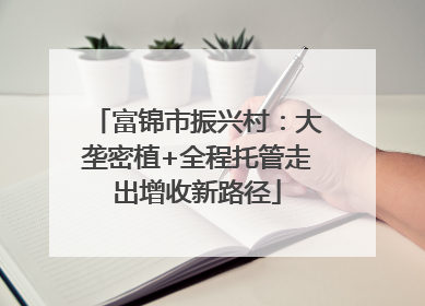 富锦市振兴村：大垄密植+全程托管走出增收新路径