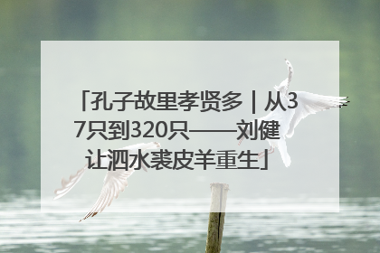孔子故里孝贤多｜从37只到320只——刘健让泗水裘皮羊重生