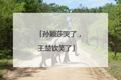 孙颖莎哭了，王楚钦笑了