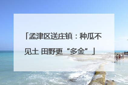 孟津区送庄镇：种瓜不见土 田野更“多金”