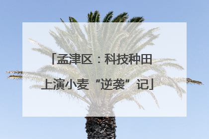 孟津区：科技种田 上演小麦“逆袭”记