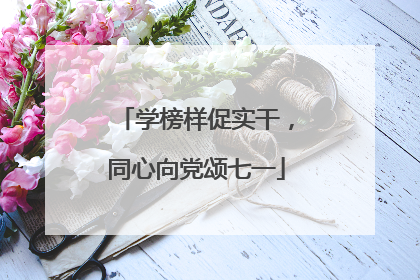学榜样促实干，同心向党颂七一