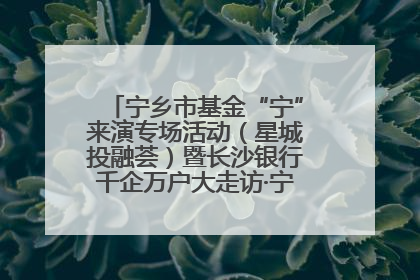 宁乡市基金“宁”来演专场活动（星城投融荟）暨长沙银行千企万户大走访·宁乡专场活动举行