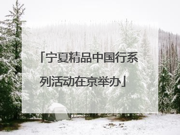 宁夏精品中国行系列活动在京举办