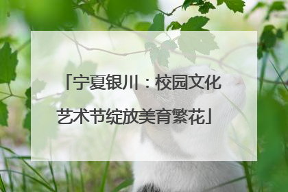 宁夏银川：校园文化艺术节绽放美育繁花